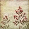 leaf1