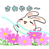 usagi01