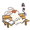 usagi03
