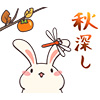 usagi07