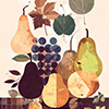fruit02