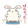 usagi03