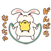 usagi01