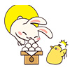 usagi08