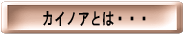 �J�C�m�A�Ƃ́E�E�E
