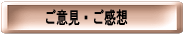 ���ӌ��E�����z