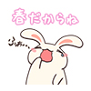 usagi01