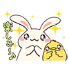 usagi13