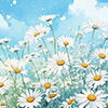 marguerite02