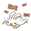 usagi08