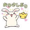usagi10
