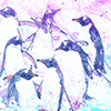 penguin04