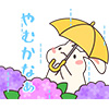rain01