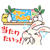 usagi03