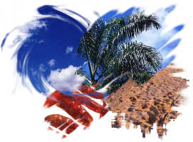 summer2010