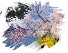 spring2010