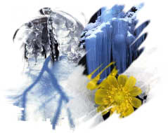 winter2009